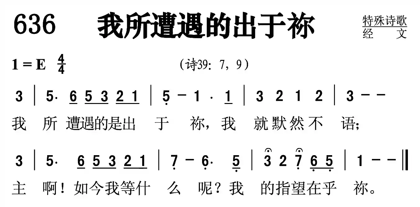 我所遭遇的