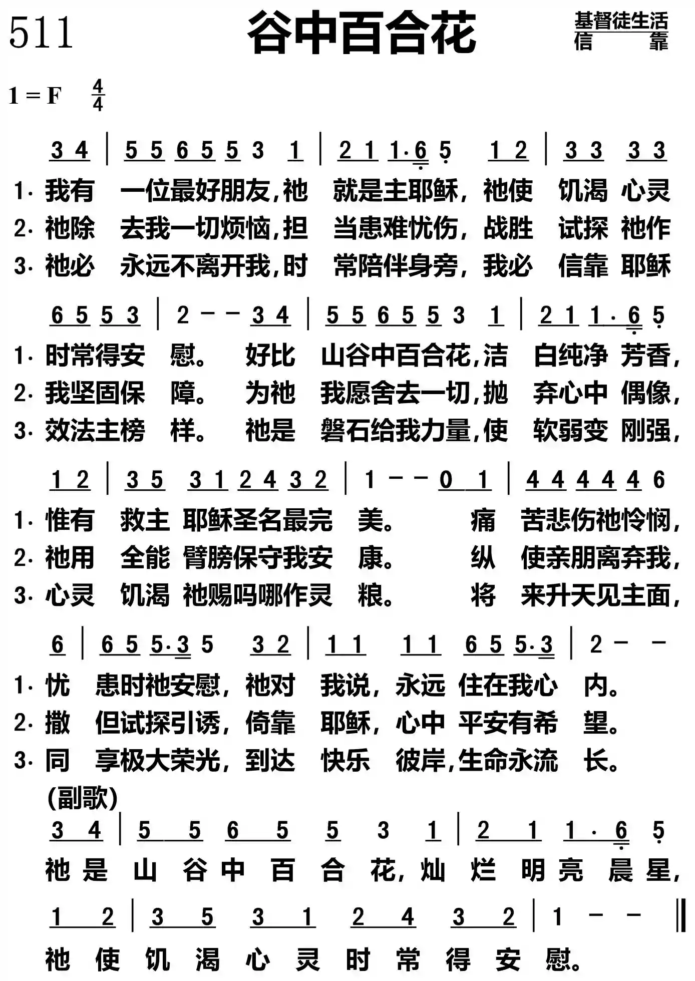 谷中百合花